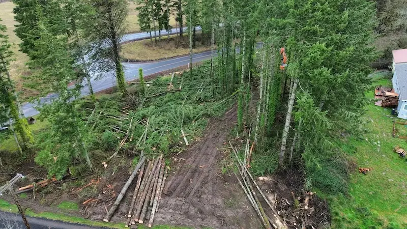 A cleared lot with brush and felled trees stacked for haul away.
